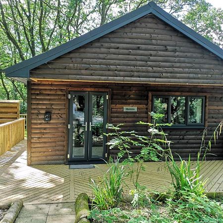 Bluestone-Hot Tub-Woodlandlodges-Pembrokeshire-Tenby Carmarthen Exterior foto